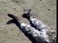 Clases Tortura policías Leon (COMPLETO VIDEO) Tortured Mexican Police
