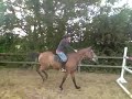 jumping four foot eight treble jumping four foot eight treble