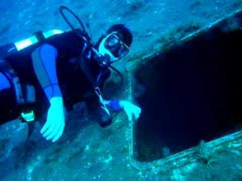 Zenobia dive