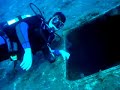Zenobia dive