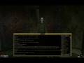 Morrowind - Sorting out the Thieves