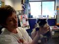 Marquette County Humane Society-Abigail(2)