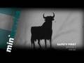 MiniMovie-Safety-Fir