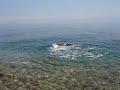 Rafa swimming in the Dead Sea