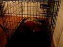 Crate time