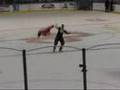 QC-Flames-Jersey-Auc