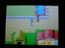 Harvest Moon Bug!!!