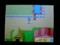 Harvest Moon Bug!!!