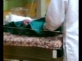 videos de 26112008