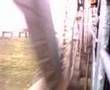 videos de Ajmer-Yeshwantpur Garib Nawaz Exp crossing Narmada River