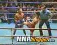 Amusing Muay Thai