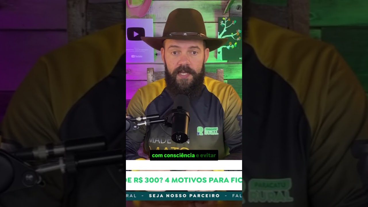 Feijão abaixo de R$ 300? 4 Motivos para ficar atento ao mercado