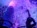 Foam Party Club Amnesia