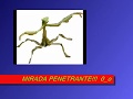 La Mantis- Laura no esta