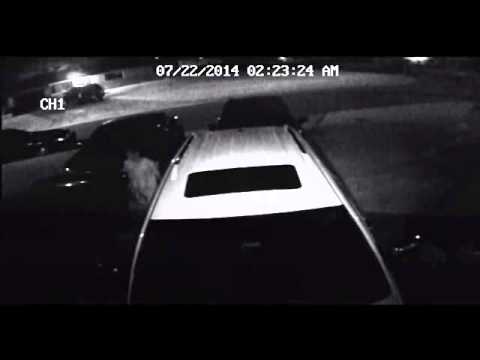Rash of auto burglaries in historic St. Pete