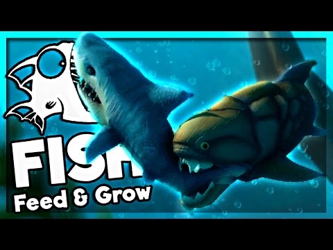Walkthrough Fish Feed And Grow Walkthrough Fish Feed And Grow
