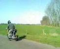 lekkr blazen