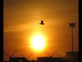 ma keen dawn ma keen dawn