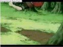 Naruto vs gaara