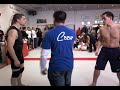 Wouter1.mp4