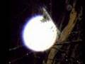 Orbs Enery & Mists Part 4 The Omega