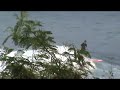 Paddle Trainer Nihiwatu Sumba Stand Up Paddle - nice wave