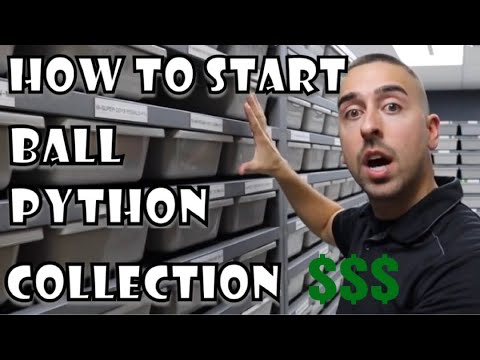 YouTube reptile video