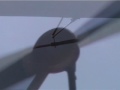La girouette des Métairies