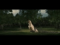lars von trier - director manual alberto claro - director of photography peter hjorth - visual effects supervisor tell about melancholia's visual style it is...