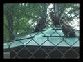 videos de [KOREA] Gyeonggi-do National Arboretum