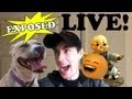 Daneboe Exposed #10: LIVE