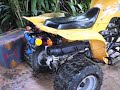 Lifan 110 en Escobal de Atenas Costa Rica