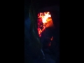 my tandoori party