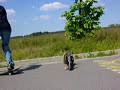 Trying to skate... Trying to skate...