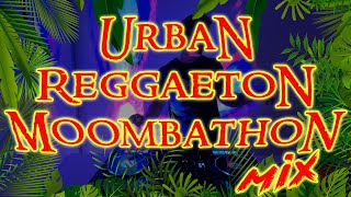Urban Reggaeton Moombahton Live Set   -    DJ Smac
