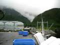 Fish processing in Alaska
