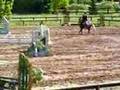 2'3 Training Hunter- Pony's First Show