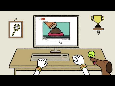 Imagen de previsualización de YouTube