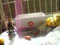 videos de my squirrel body