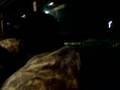 Coming Home from Afghansitan