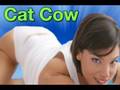 Firm Up Your Body With This Yoga Lesson (Sex Health Tip)