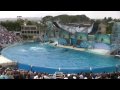 Become a Facebook SeaWorld fan at: www.facebook.com or download this video in iTunes: bit.ly Part 1 of 2. The famous SeaWorld Shamu 