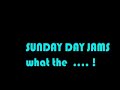 shambhala 2007 07
