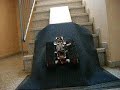 shar-pei-auf-der-treppe.html
