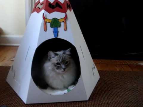 0 Loyal Luxe Native American Teepee   Floppycats.com Review