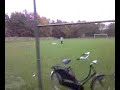 vlinder-haarlakdeo-bus.html