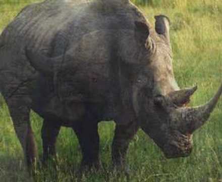 Kruger National Park Travel & Tours ...