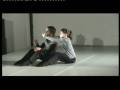 videos de 
