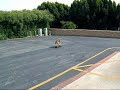 Ouch!! / DARLA SKATEBOARDING BULLDOG Ouch!! / DARLA SKATEBOARDING BULLDOG