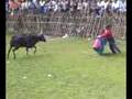 videos de yunku